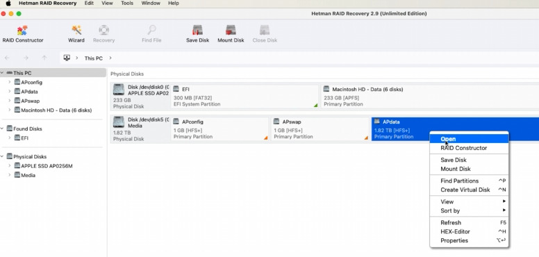 Hetman RAID Recovery: unità collegate