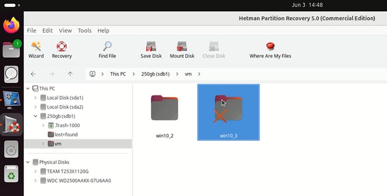 Hetman Partition Recovery: дані просканованого диска