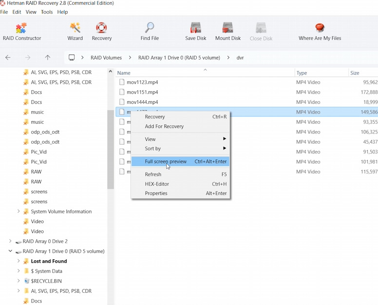 Hetman RAID Recovery: preview of recovered SoftRAID files Hetman RAID Recovery: preview of recovered SoftRAID files