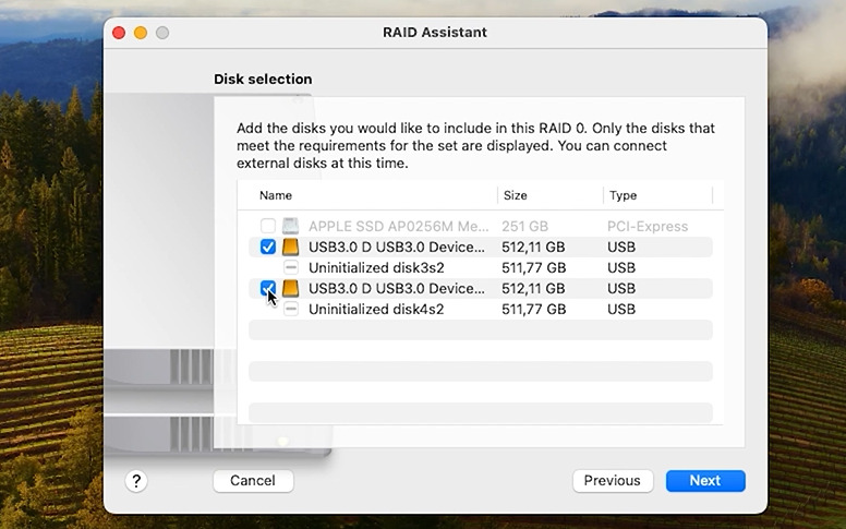 RAID Assistant: Select disks for the array RAID Assistant: Select disks for the array