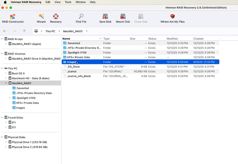 Hetman RAID Recovery: found partitions, folders and files Hetman RAID Recovery: found partitions, folders and files