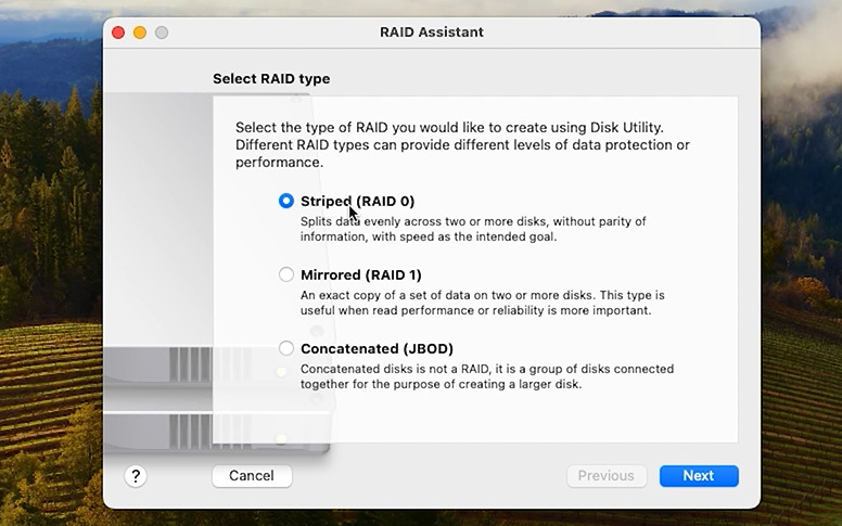 RAID Assistant: Choose RAID type RAID Assistant: Choose RAID type