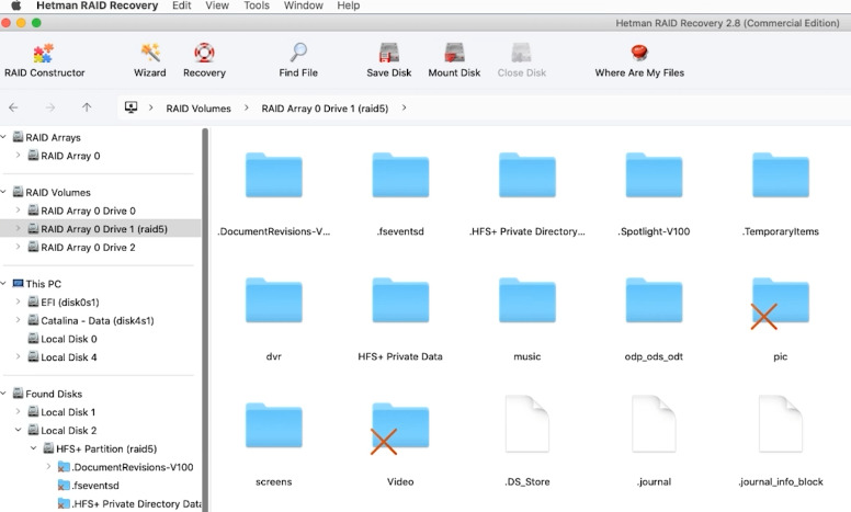 Hetman RAID Recovery: the program recovered all folders and files from the array