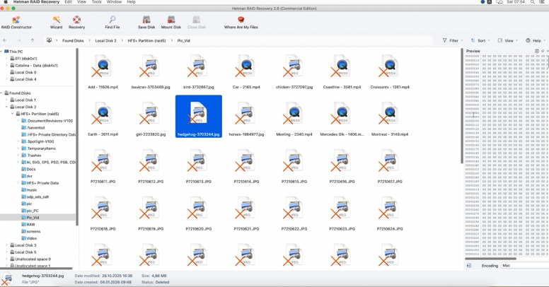 Hetman RAID Recovery: the individual disks from which the array was created