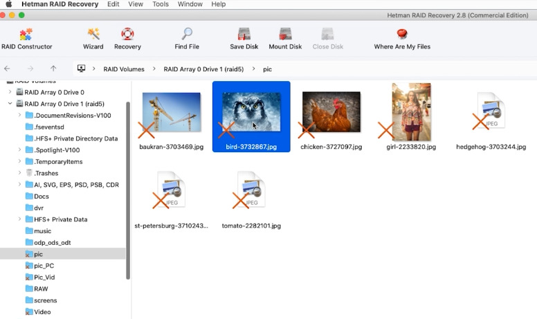 Hetman RAID Recovery: array file preview