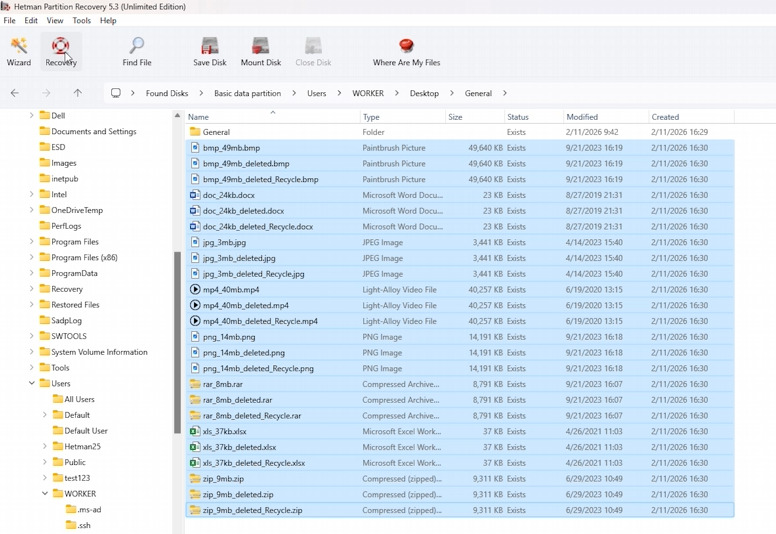 Hetman Partition Recovery: gefundene Dateien auf einem BitLocker-Laufwerk