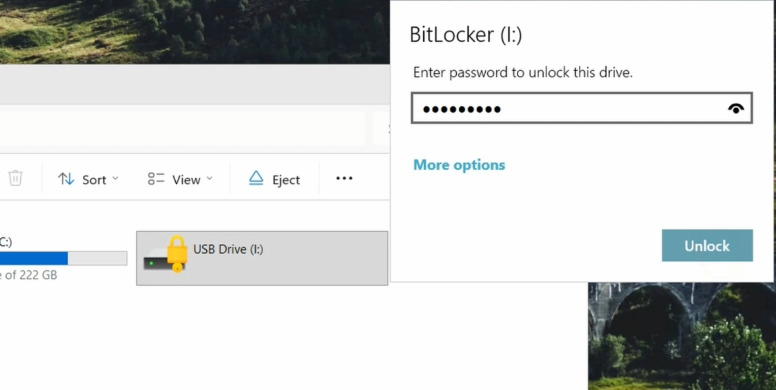 Lecteur chiffré BitLocker