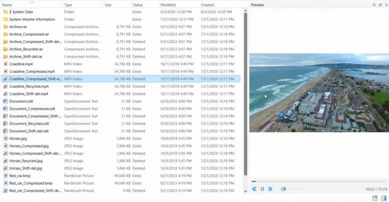 Hetman Partition Recovery : aperçu des fichiers trouvés