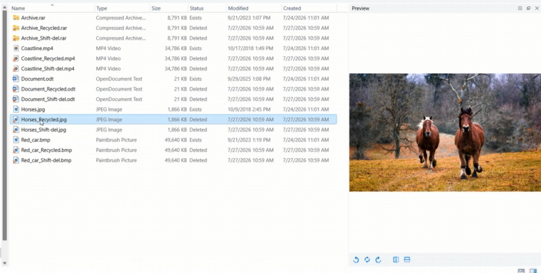 Hetman Partition Recovery : aperçu des fichiers du lecteur déverrouillé