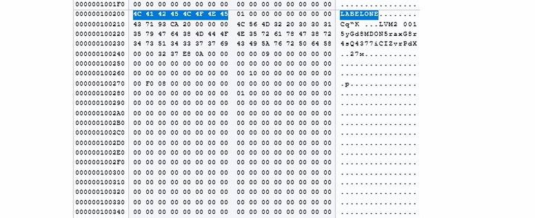 Hetman RAID Recovery : marqueur LABELONE dans l’HEX Editor Hetman RAID Recovery : marqueur LABELONE dans l’HEX Editor