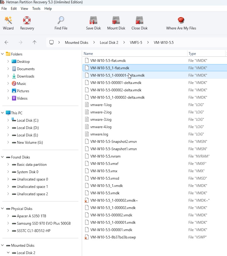 Hetman Partition Recovery: содержимое образа VMFS 5