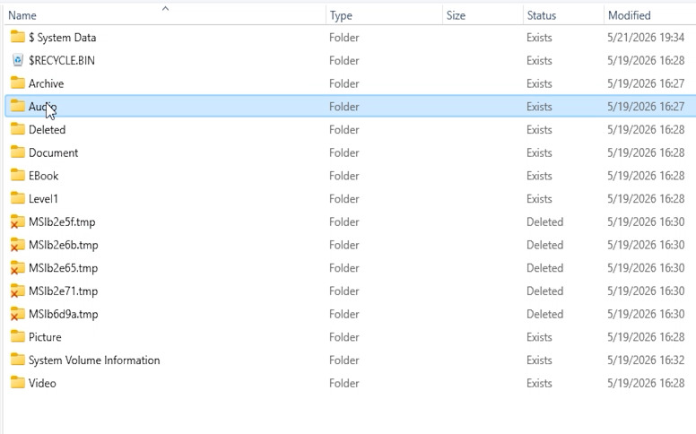Hetman Partition Recovery: содержимое подключенного файла снимка