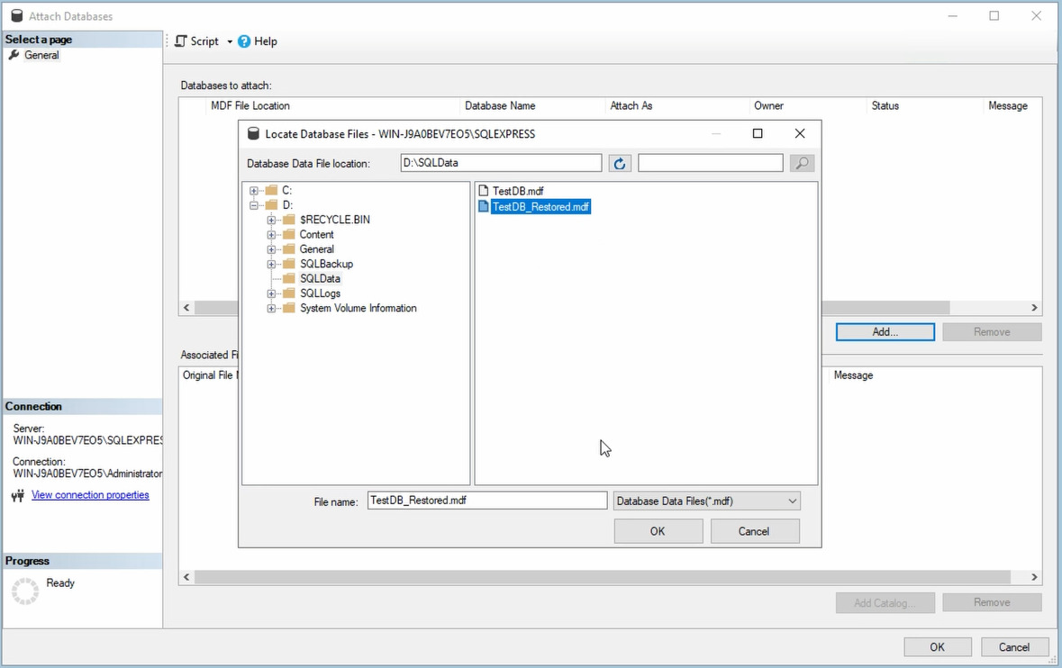 Windows Server 2022: إضافة TestDB_Restored.mdf المستعاد