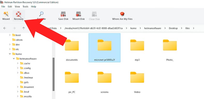 Hetman Partition Recovery: кнопка Відновити Hetman Partition Recovery: кнопка Відновити