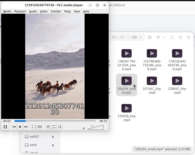 Hetman Partition Recovery: відновлені відео файли