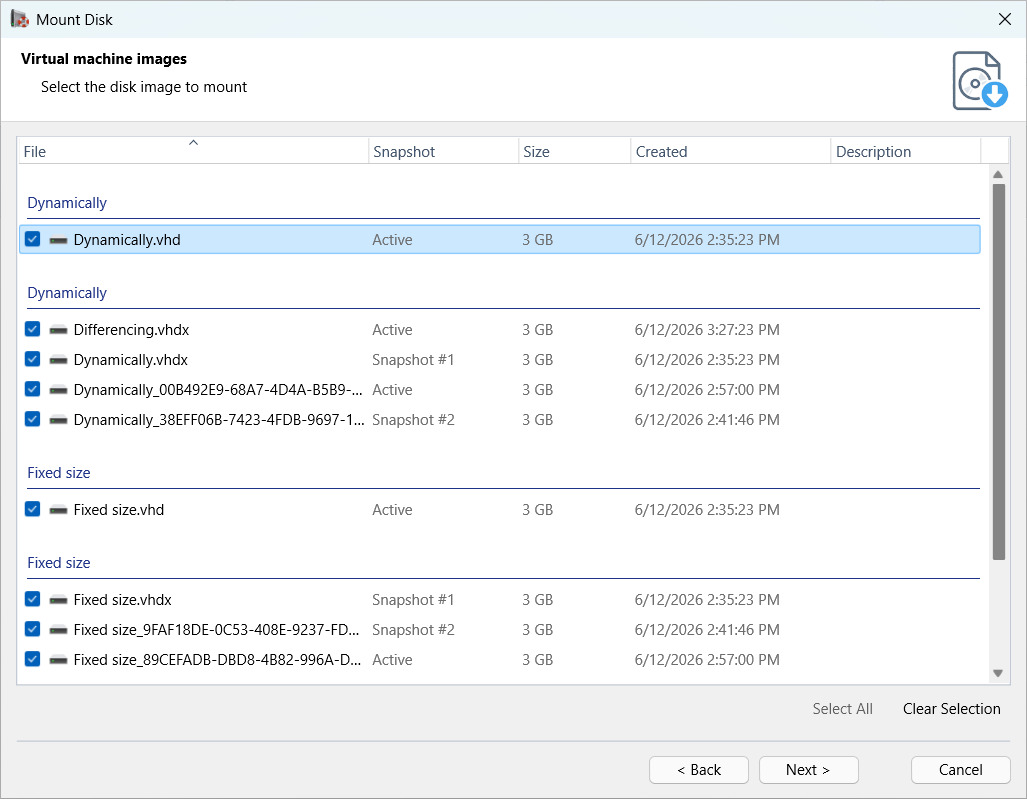 Mount Virtual Machine Disks and Snapshots
